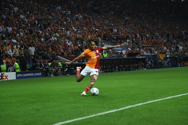 海港的信心 海港的信心