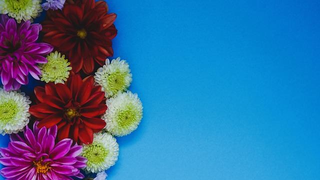 西海岸vs新鹏城首发：4外援PK4外援 阿兰先发.