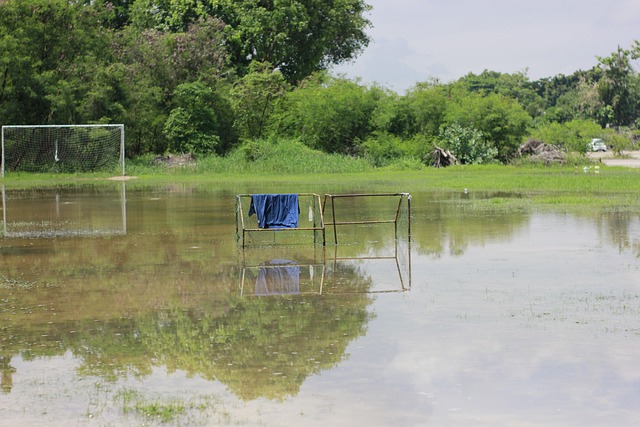 日職／大山悠輔意外續留之後 甲斐拓也會投下震撼彈？.