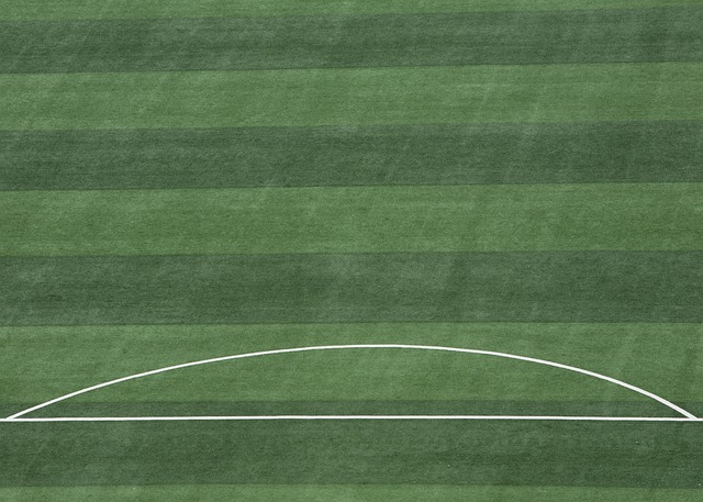 坚韧和技巧 坚韧和技巧