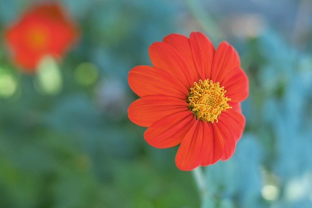 此役的胜利 此役的胜利