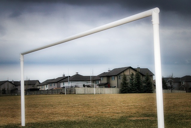 官网国际十事：阿联获首发 姚明斯科拉点燃火箭.