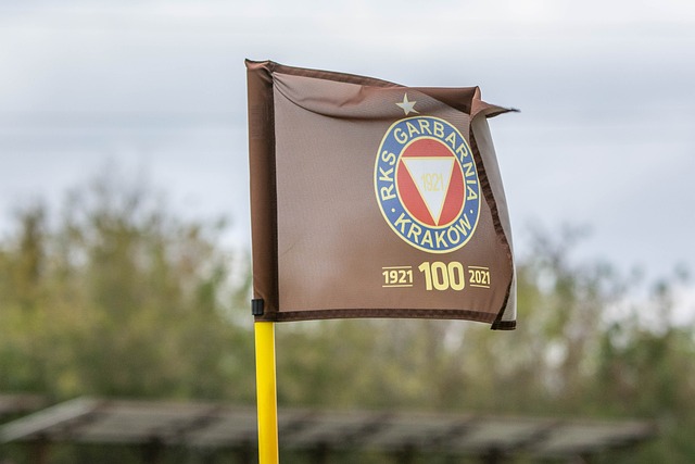 西甲第9輪補賽格拉納達2-1馬德裏競技 菲利克斯閃電進球難救主.