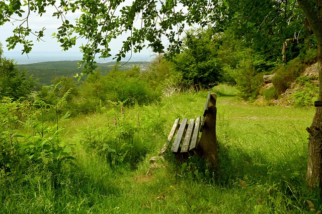 兩名主力球 兩名主力球