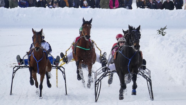 的高度期待 的高度期待