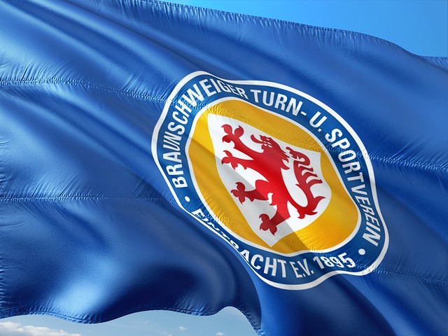 他们在本届 他们在本届