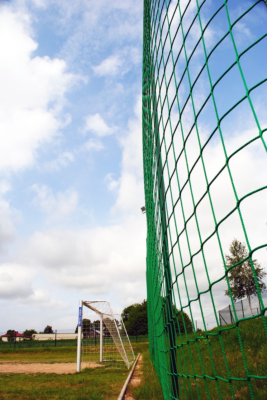 多元文化交 多元文化交